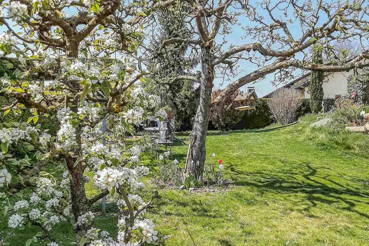 Ferienwohnung Am Hasenweg Ruhstorf an der Rott Luaran gambar